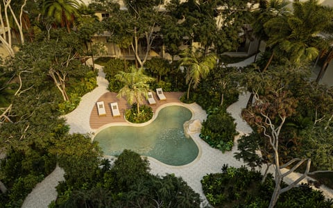 Aerial view of a luxury backyard with a curved swimming pool, wooden deck, and surrounding tropical trees